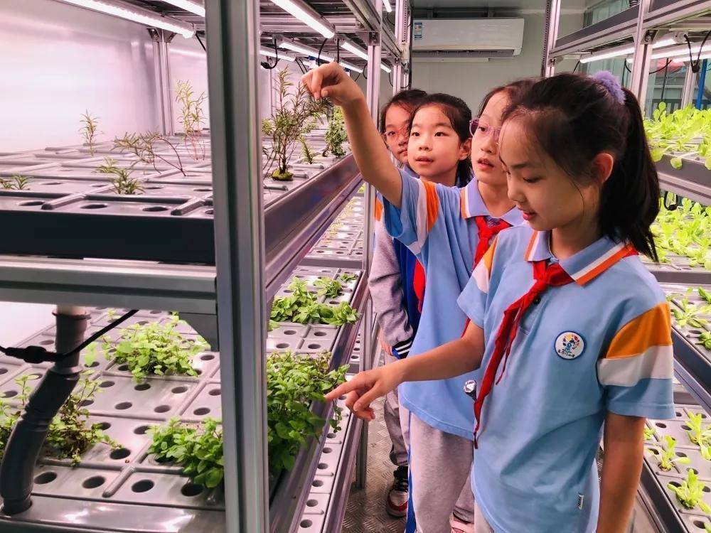 中科三安植物梦工厂是一家无土栽培蔬菜瓜果的科研,种植基地.