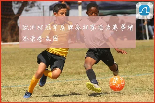 欧洲杯冠军盾牌亮相赛场为赛事增添荣誉氛围