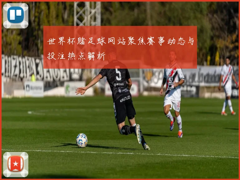 世界杯赌足球网站聚焦赛事动态与投注热点解析