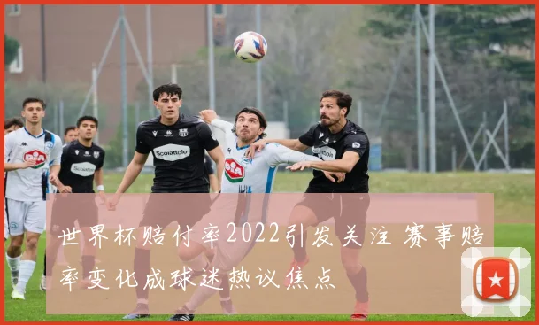 世界杯赔付率2022引发关注 赛事赔率变化成球迷热议焦点