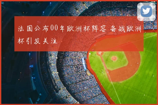 法国公布00年欧洲杯阵容 备战欧洲杯引发关注