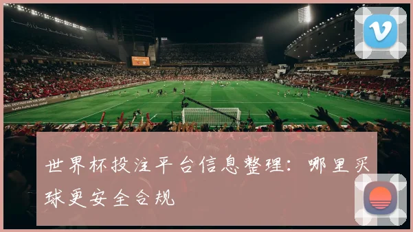 世界杯投注平台信息整理：哪里买球更安全合规