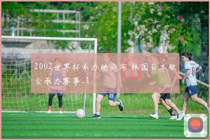 2002世界杯举办地公布 韩国日本联合承办赛事_1