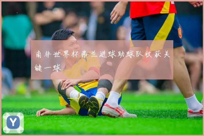 南非世界杯弗兰进球助球队收获关键一球