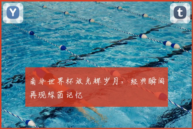 南非世界杯放光辉岁月，经典瞬间再现绿茵记忆
