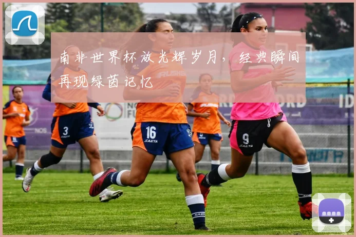 南非世界杯放光辉岁月,经典瞬间再现绿茵记忆