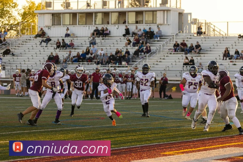 平台展示图